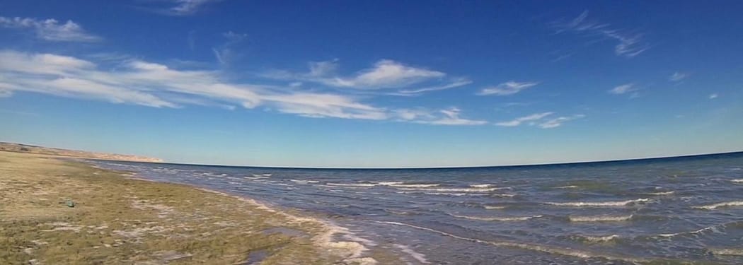 Aral boýunça Türkmenistanyň Milli maksatnamasy taýýarlanylýar