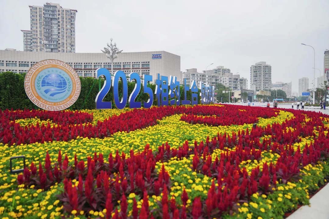 Wan I: Şanhaý Hyzmatdaşlyk Guramasynyň sammiti üstünlikli geçdi