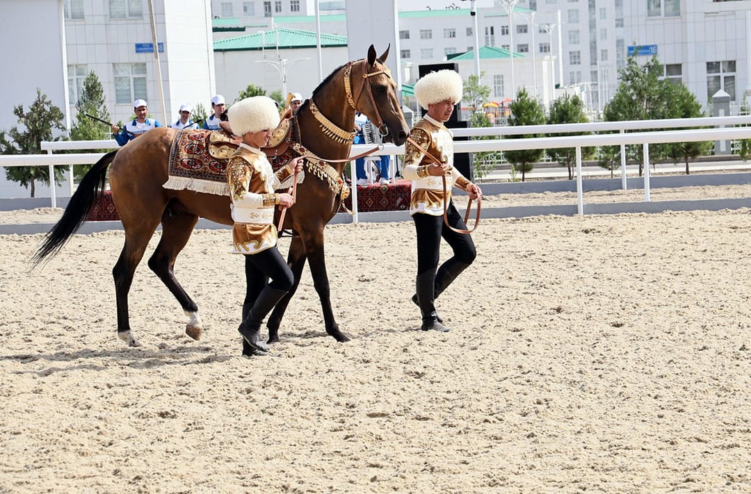 В Туркменистане выбрали самого красивого коня-ахалтекинца года