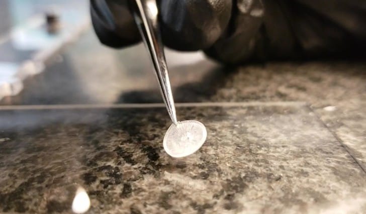 Asyl gulagy dikeldip bolar