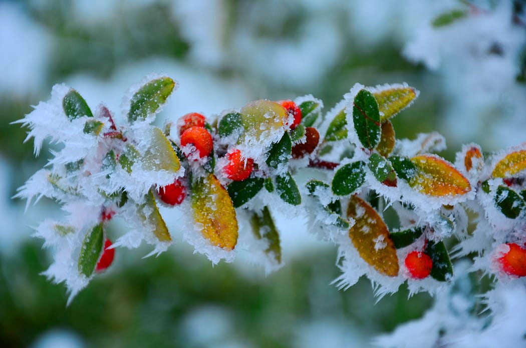 Snow and frost again? Weather in Turkmenistan for the next three days