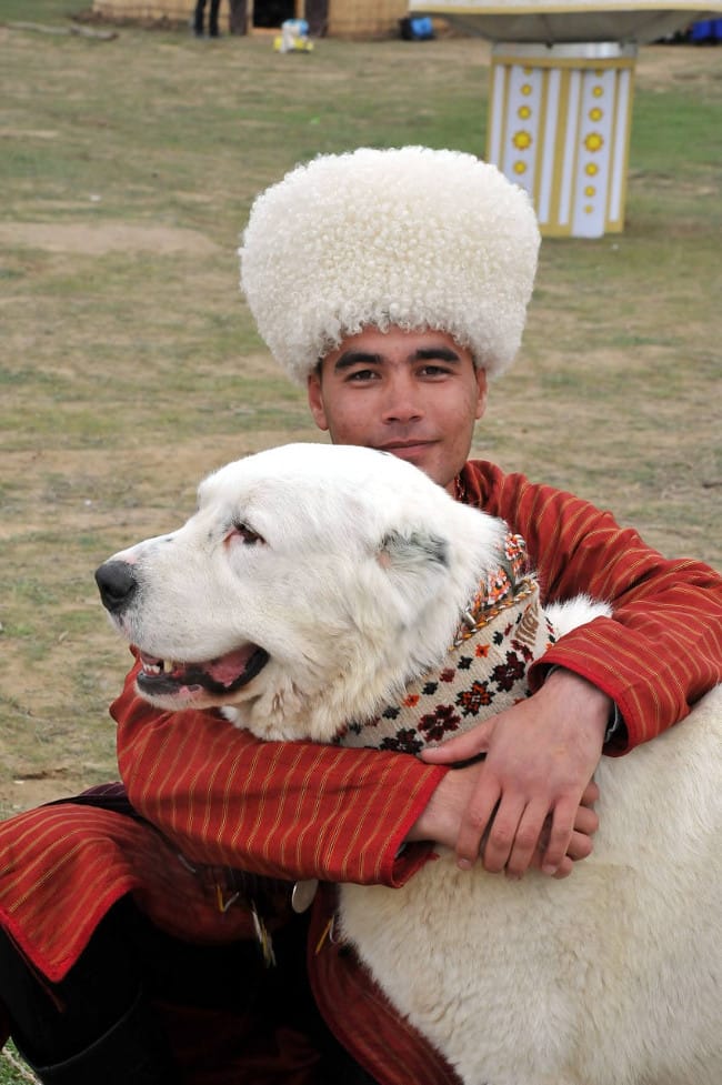 Туркменистан – родина уникальной породы собак