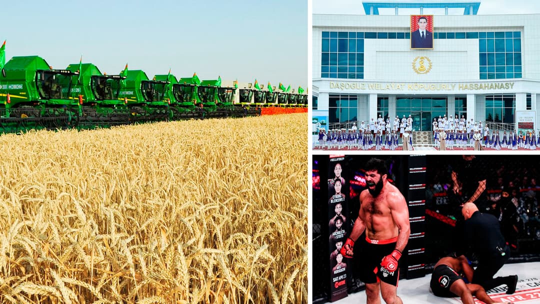 В Туркменистане начинается кампания по сбору урожая зерновых, в Дашогузе ввели в строй больницу на 450 мест, последний бой Ягшимурадова по контракту с Bellator, Petronas ищет специалиста по финансовым операциям и другие новости