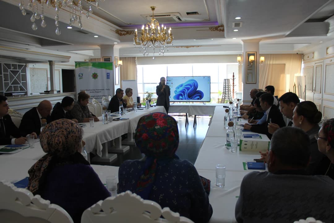 ПРООН в Туркменистане провела региональные консультации по обновлению NBSAP