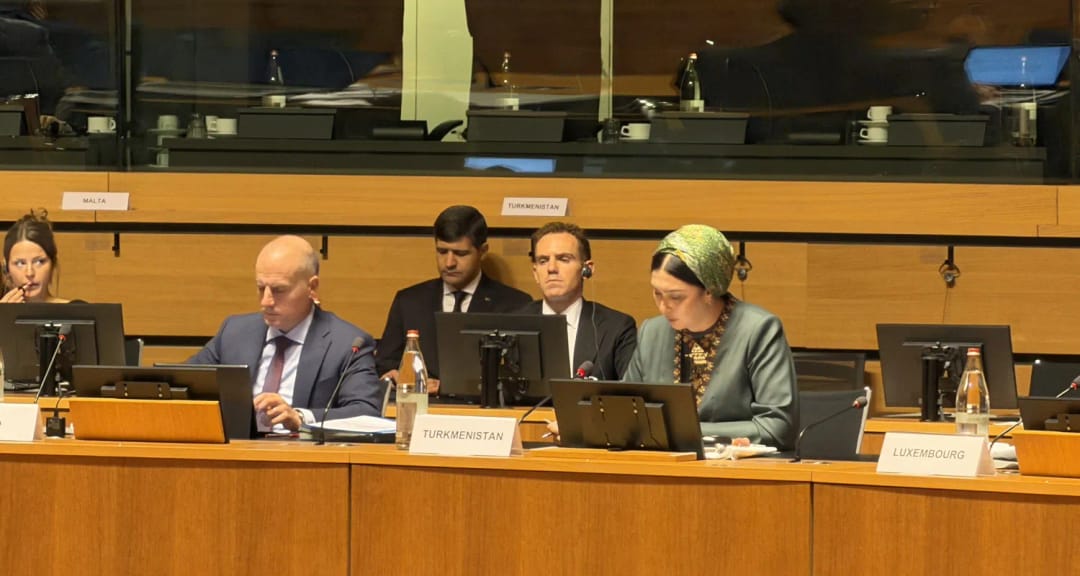 Туркменистан подтвердил нацеленность на углубление взаимовыгодного сотрудничества с ЕС