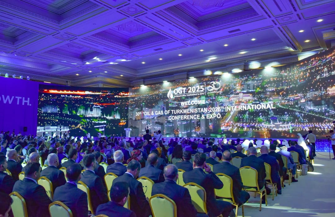 Турция заинтересована в долгосрочных поставках газа из Туркменистана – глава Botas