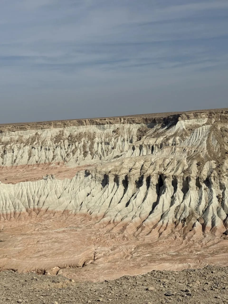Ученики туркмено-российской школы изучили природное наследие Балканского велаята