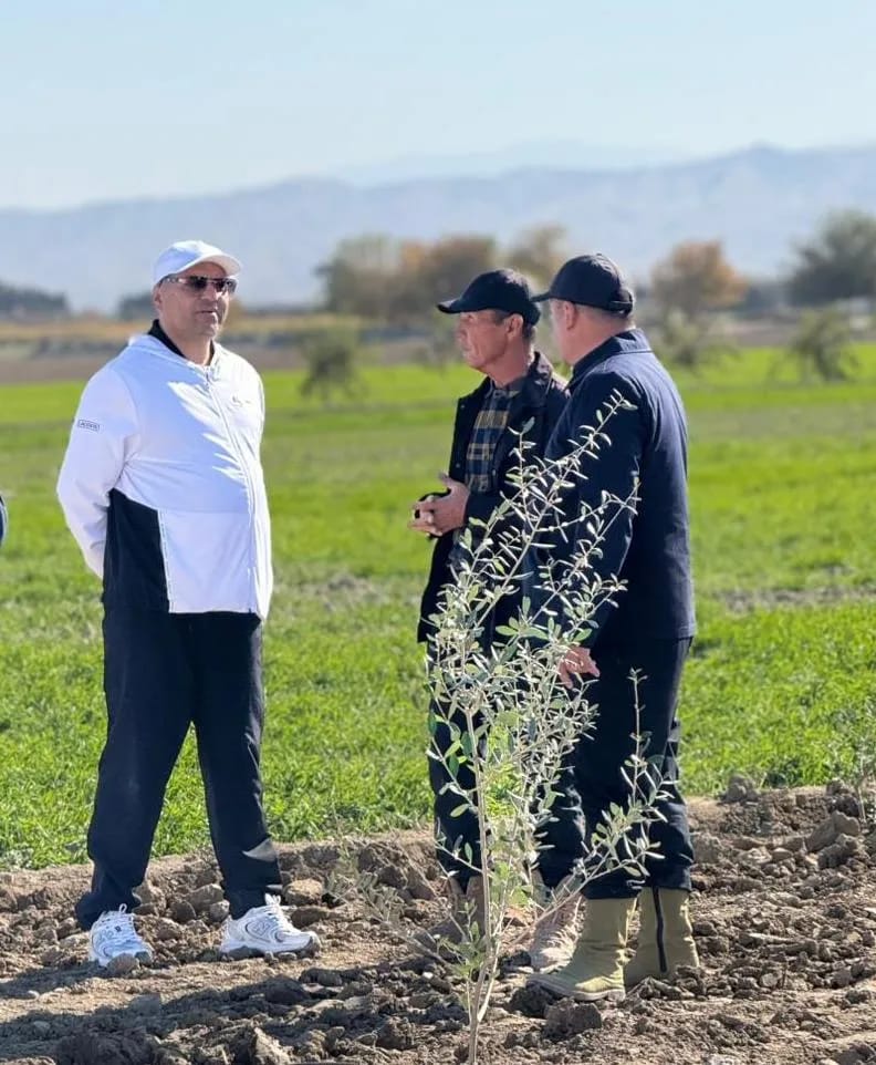 Libya Büyükelçiliği, Türkmenistan'a 100 zeytin fidanı bağışladı