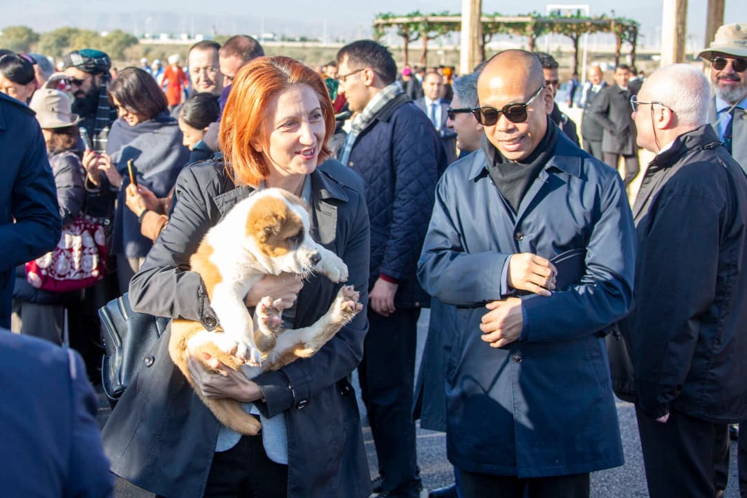 В Туркменистане прошли торжества по случаю Праздника урожая