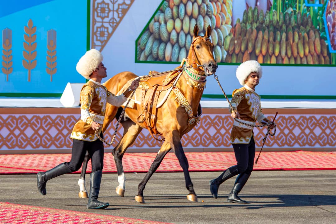 В Туркменистане прошли торжества по случаю Праздника урожая