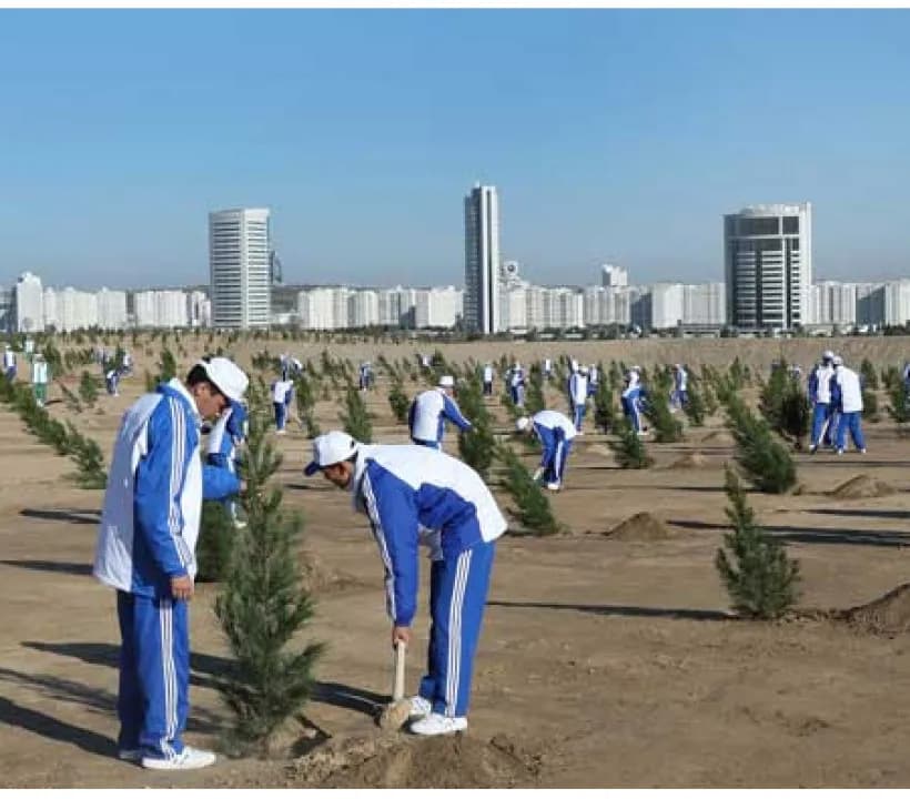 Президент Туркменистана принял участие во всенародной озеленительной акции