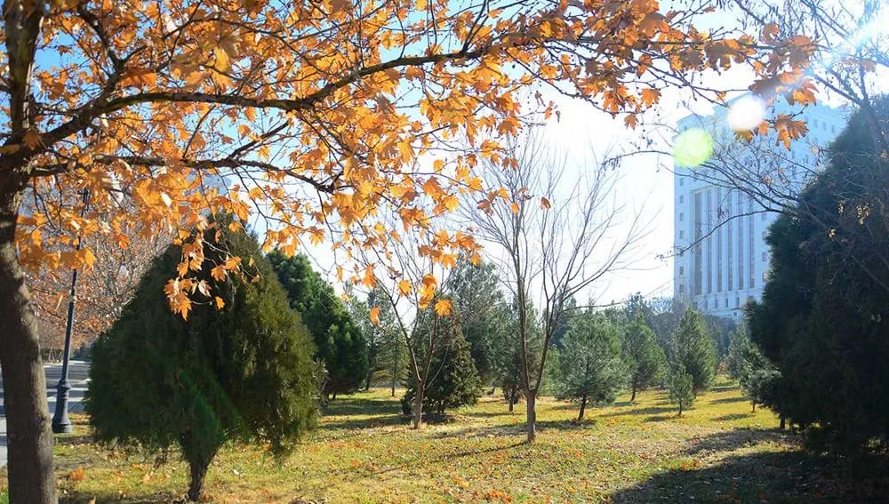 В Туркменистане на этой неделе потепление до +27