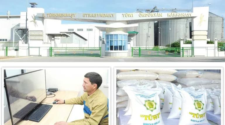 Daşoguz şalyçylar ýokary hilli hasyl aldylar