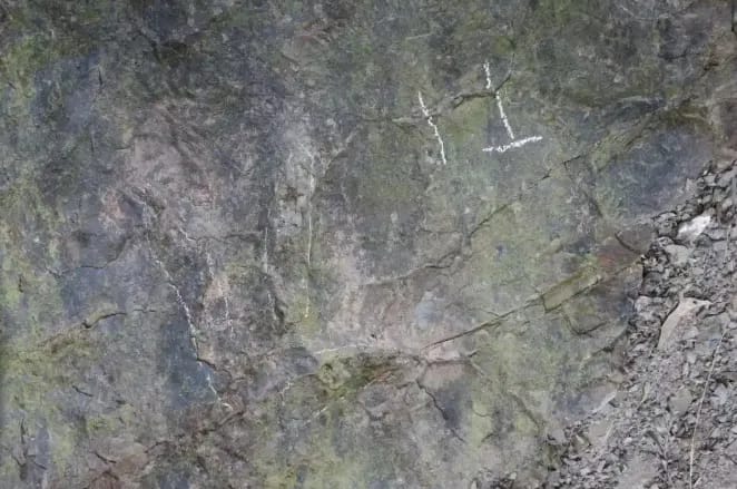 В китайской провинции Сычуань обнаружены следы динозавров возрастом 200 миллионов лет