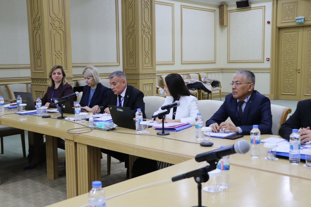 UNECE-WHO leads national meeting in Turkmenistan on water, sanitation, hygiene, and health