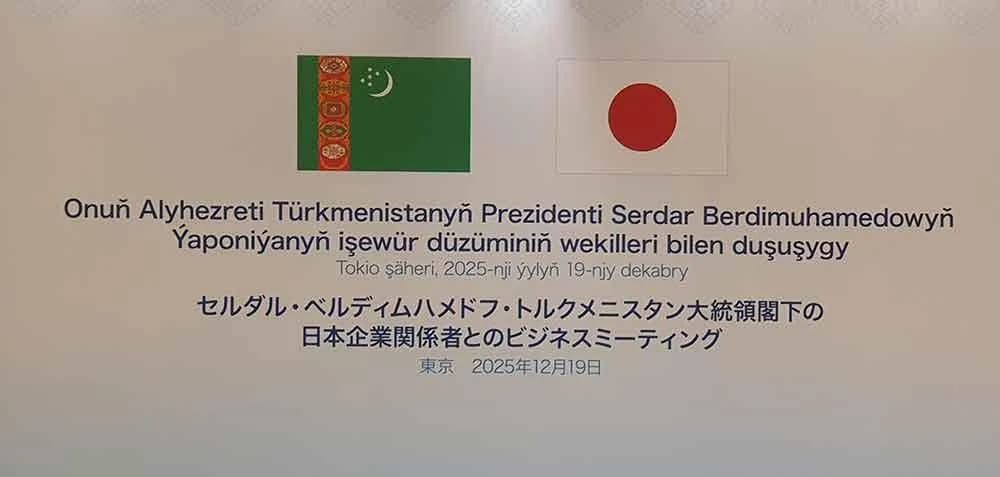 Туркменистан и японский бизнес обсудили проекты в сфере «зеленой» энергетики