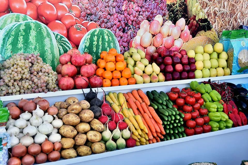 В восточном регионе Туркменистана отмечен рост производства фермерской продукции