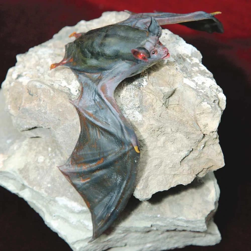 В музее Туркменистана представили экспонаты редких летучих мышей