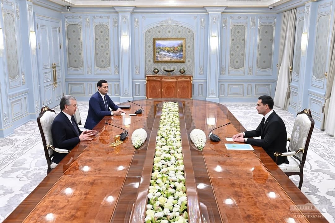 Serdar Berdimuhamedov met with Shavkat Mirziyoyev
