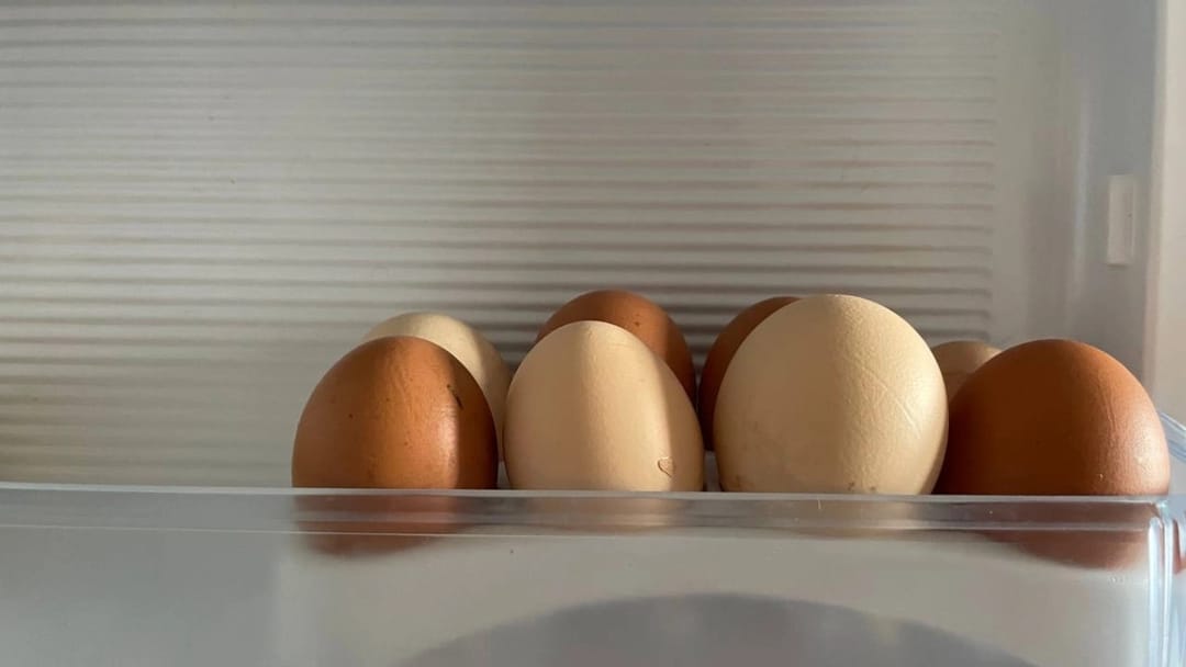 Berhizlik ýumurtgalar ABŞ-da meşhurlyk gazanýar