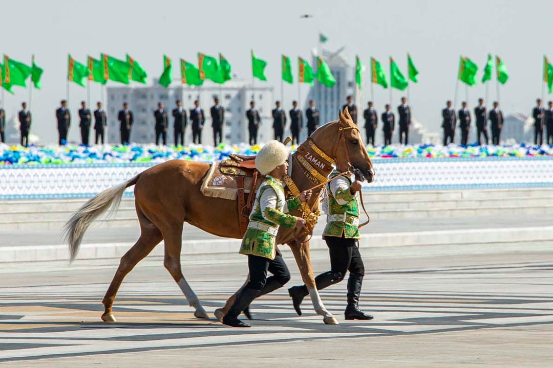 Prezident Serdar Berdimuhamedowa Zaman atly akýal mele at sowgat berildi