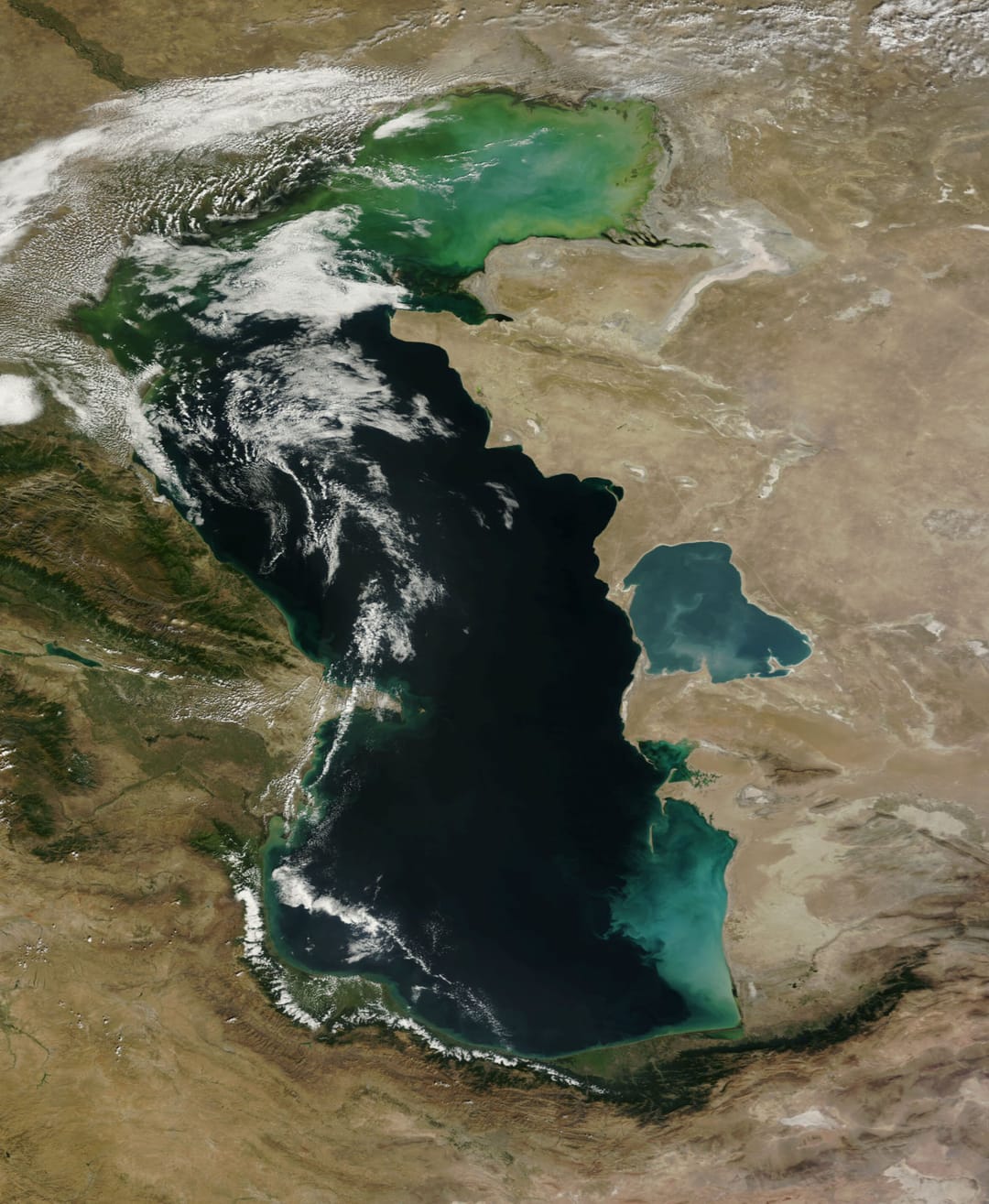 Туркменистан и Международный институт океана обсудили перспективы сотрудничества