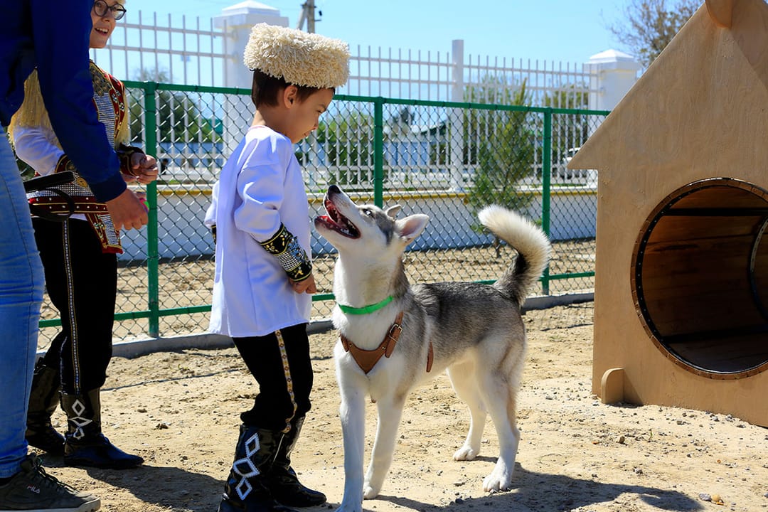Первая гостиница для животных открылась в Туркменистане