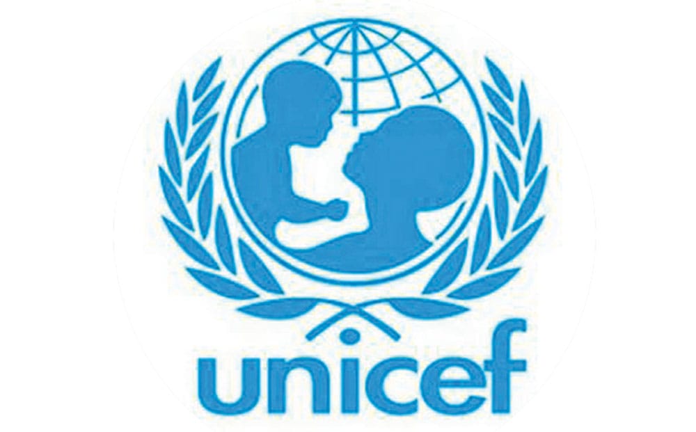 Lebap welaýatynda BMG-niň sebitleýin taslamasynyň jemi jemlendi