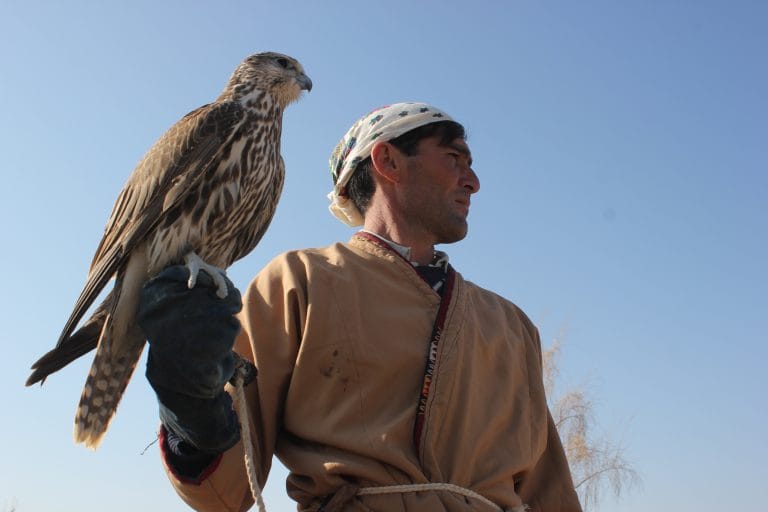 В Туркменистане сезон охоты объявлен закрытым до 31 марта