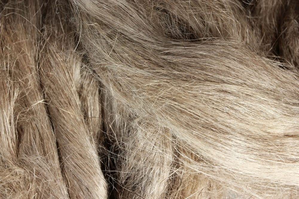 Еще одно индивидуальное предприятие Лебапа начало экспорт своей продукции