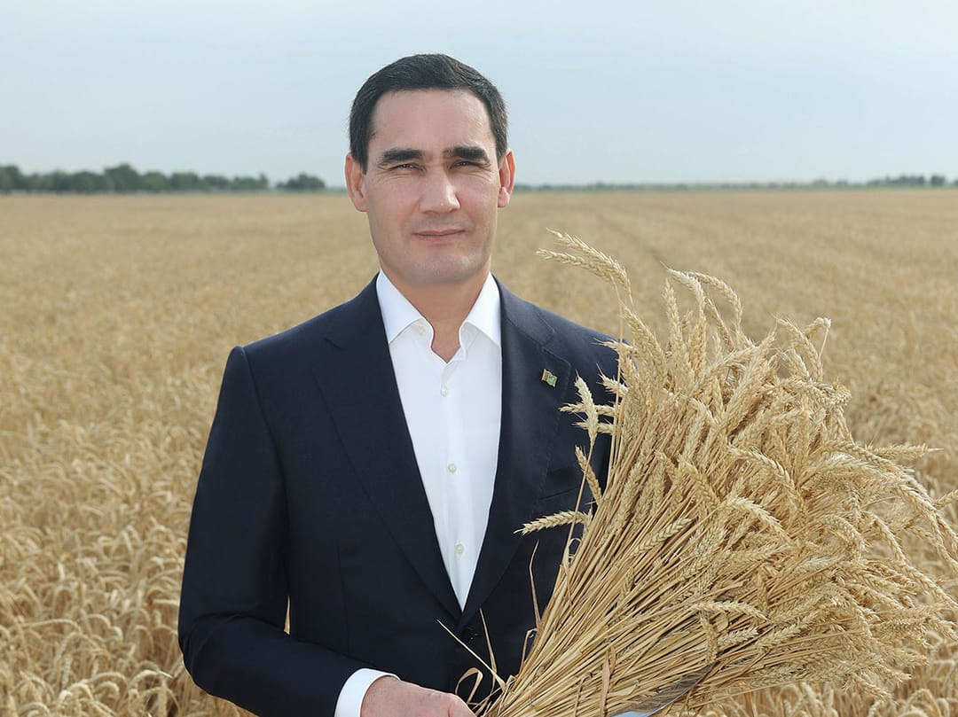 Президент Туркменистана поздравил хлеборобов страны с трудовой победой