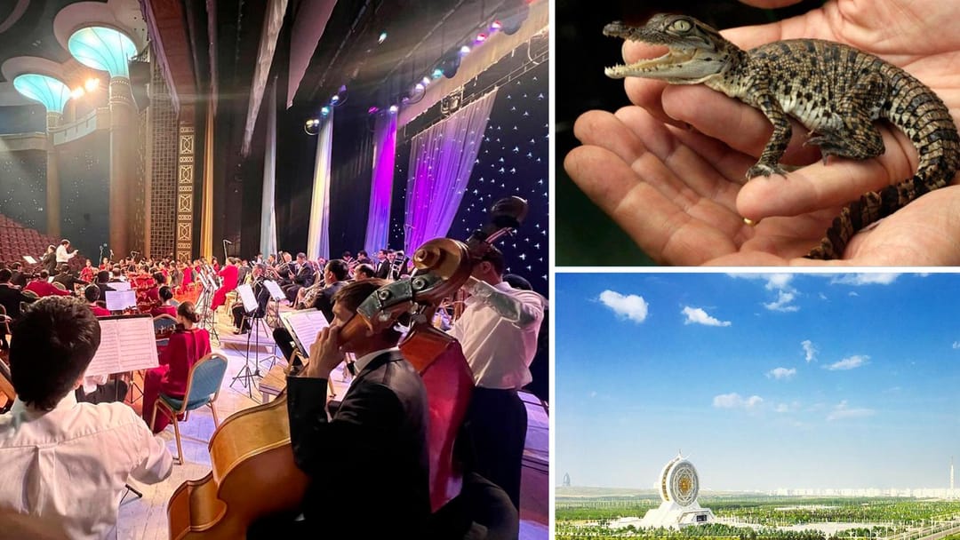 Aşgabadyň haýwanat bagynda krokodilleriň we žiraflaryň maşgalalaryna täze agzalar goşuldy, Resul Gylyjowyň simfoniki orkestri «Iň gowularyň ählisi Bisde!» konsertini berer, Türkmenistanyň günortasynda 35 gradusa çenli maýyl howa garaşylýar