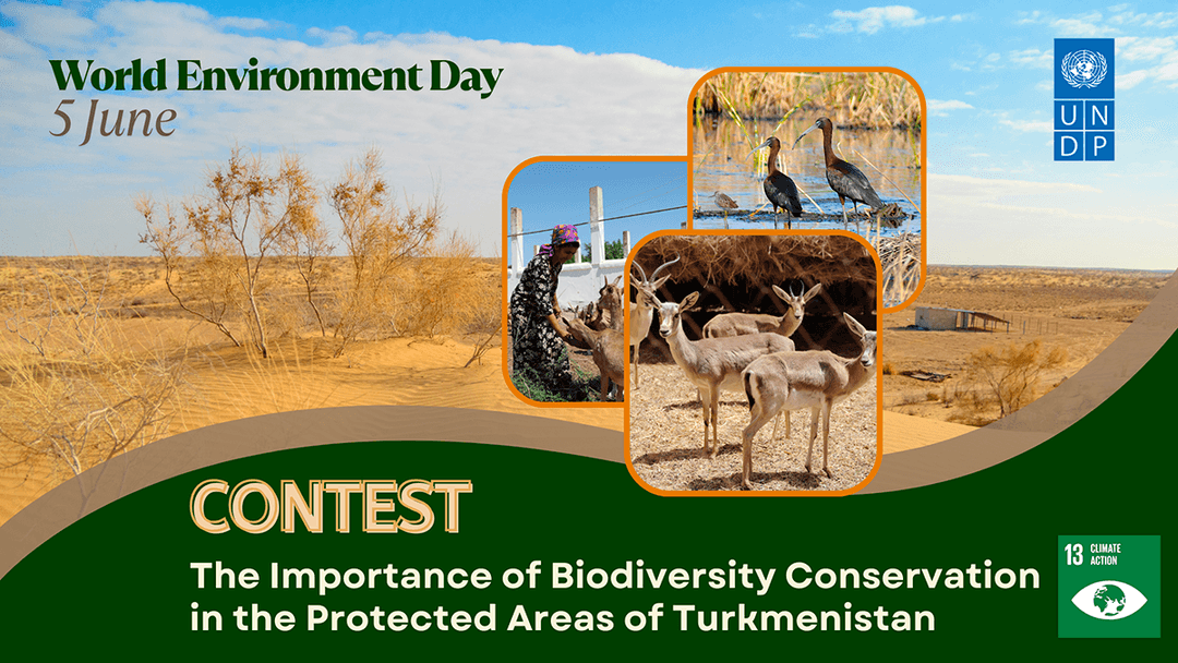 В Туркменистане объявлен конкурс информационных стендов к Всемирному дню окружающей среды