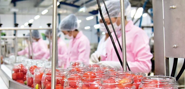 После выхода на пенсию житель Лебапского велаята открыл свой бизнес