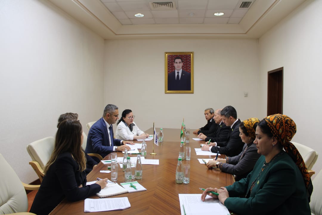 В Меджлисе Туркменистана прошла встреча с представителями ОБСЕ