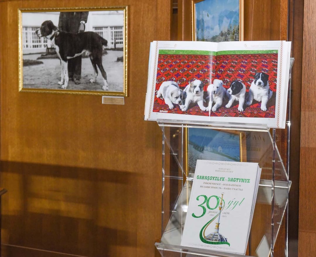 В Государственном музее Туркменистана открылась выставка, посвященная алабаю