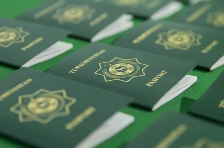 Внесены дополнения и изменение в Закон Туркменистана "О миграции"