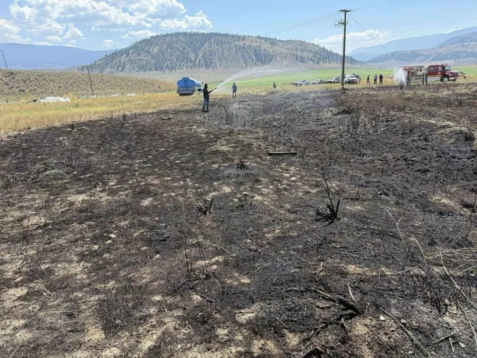 Kanadada ýangyn döreden guşy tutdular