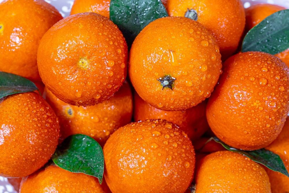 Exports of Iranian fruits to Turkmenistan increased significantly ahead of the New Year