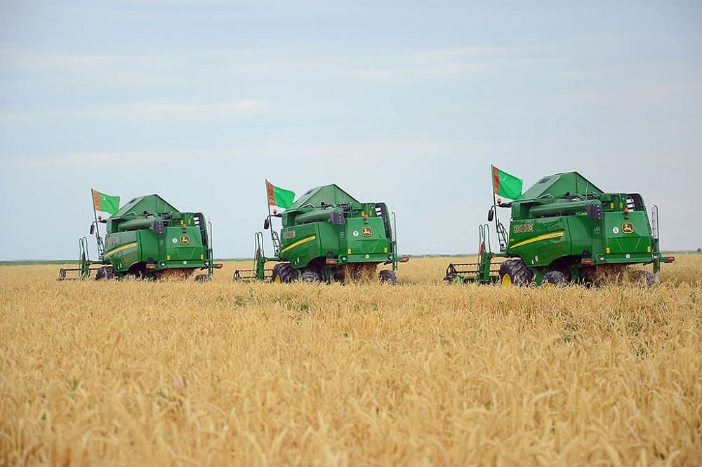 Ученые-аграрии Туркменистана в 2022 году провели ряд разработок