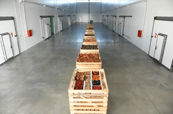 В северном регионе Туркменистана построен частный холодильный склад для сельхозпродукции