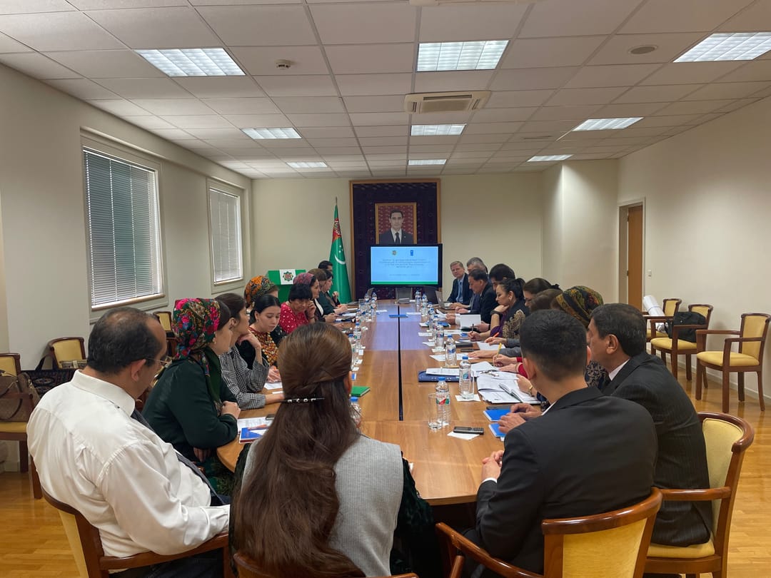 UNDP in Turkmenistan held a seminar on preparation for the dialogue on the UPR with the UN Human Rights Council