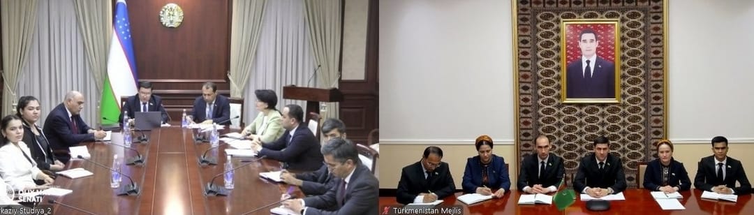 Состоялась онлайн-встреча членов групп межпарламентской дружбы Туркменистана и Узбекистана
