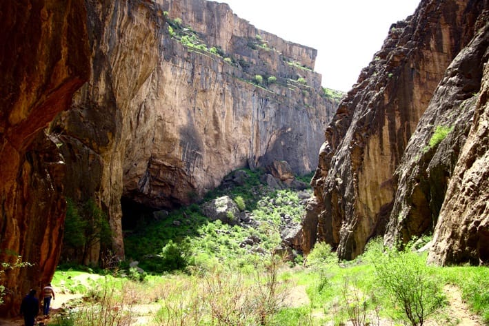 В Койтендагском заповеднике Туркменистана проводятся противопожарные мероприятия