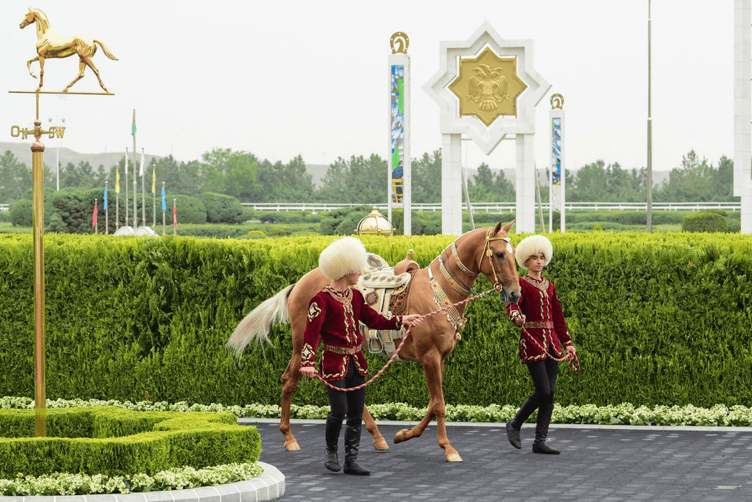 An international beauty contest of Ahal-Teke horses will be held in Turkmenistan