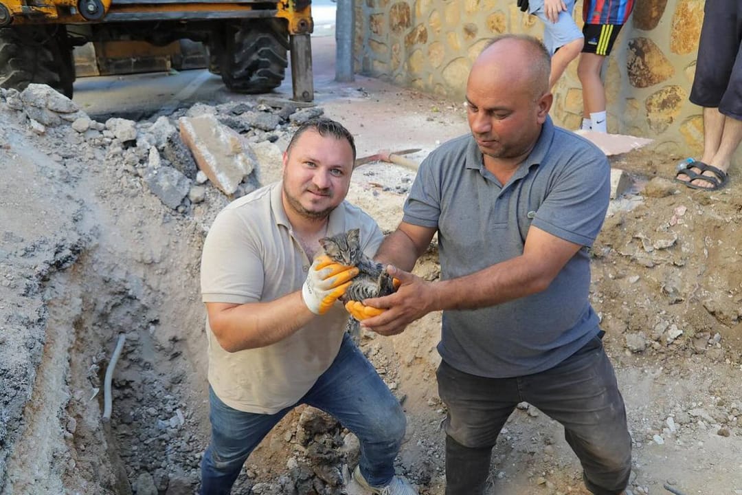 An unusual rescue operation has unfolded in Edirne, Türkiye