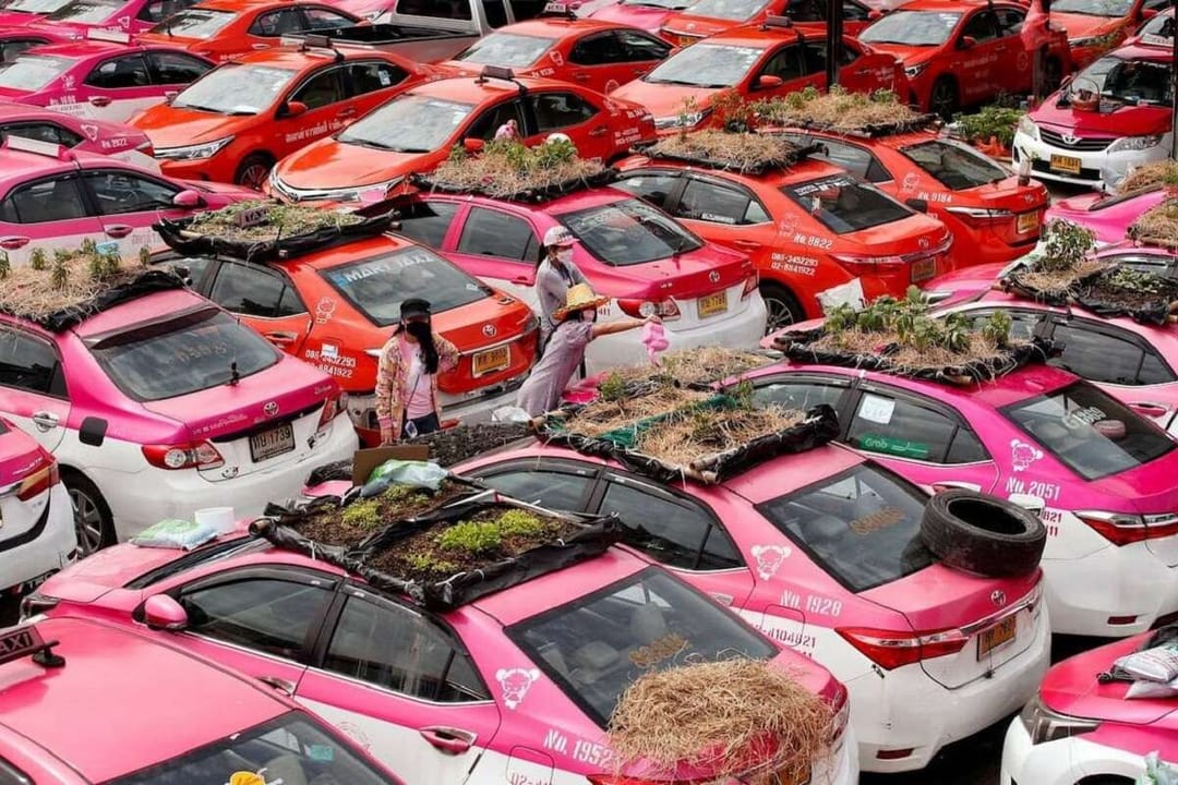 Таксисты Бангкока перепрофилировали свои авто