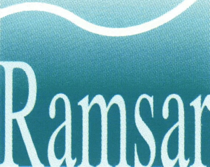 В Туркменистане открылся Рамсарский офис