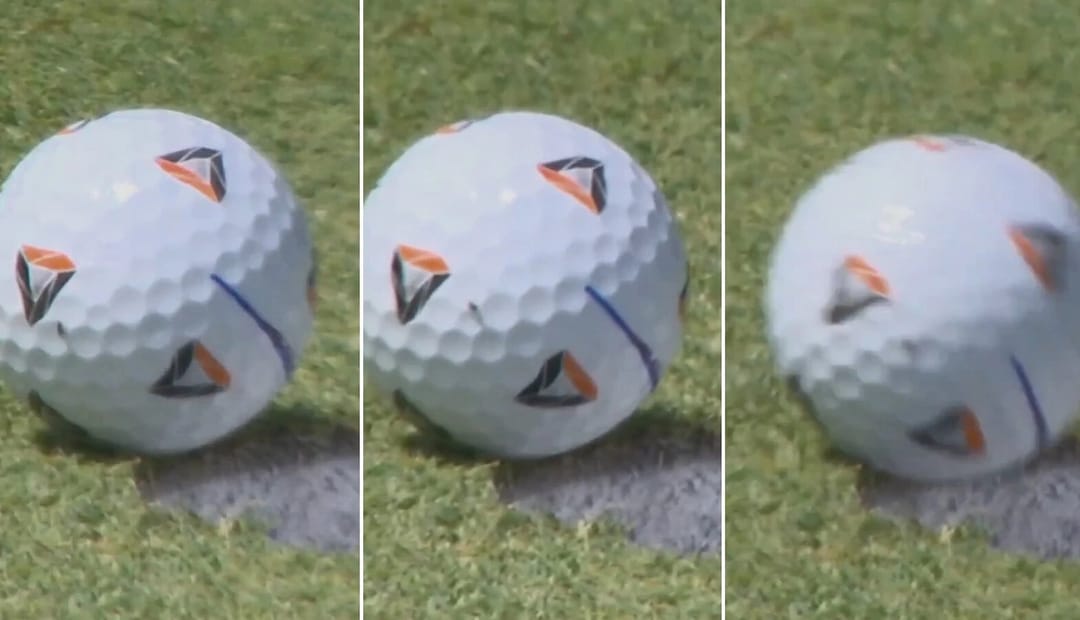 Siňek golf oýunçysyna topy çukura salyp, 1,5 million dollar gazanmaga kömek etdi