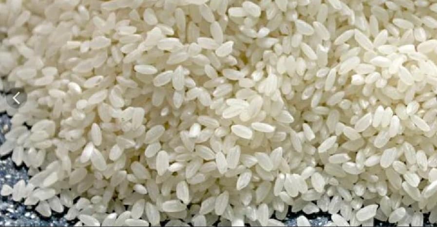 Дашогузские земледельцы ведут сев риса